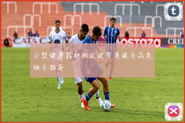 小型健身器材批发进货渠道与品类组合推荐